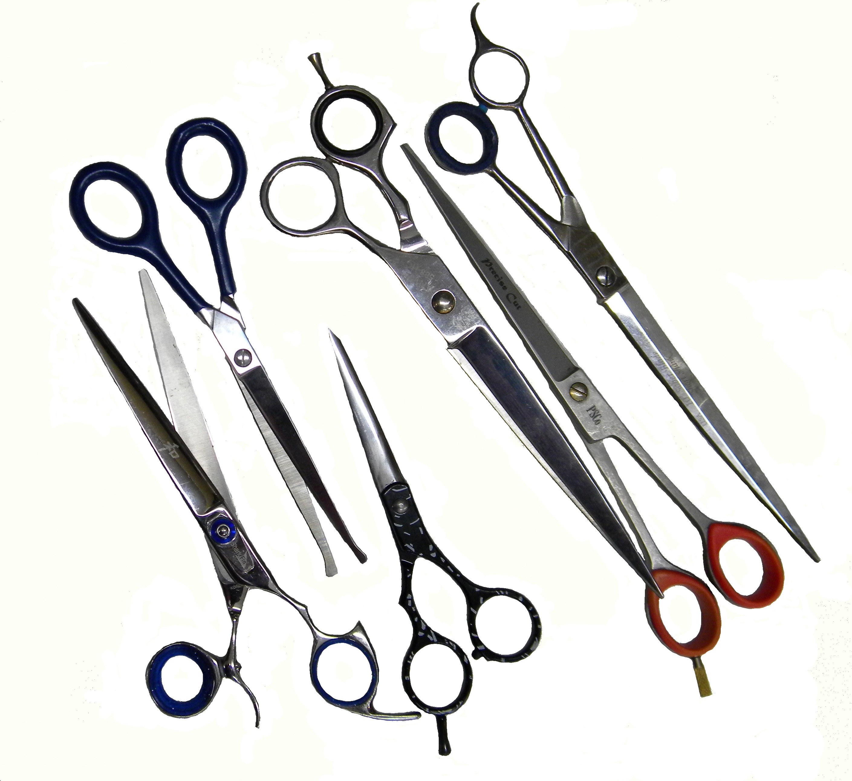 Picture of a typical grooming scissor