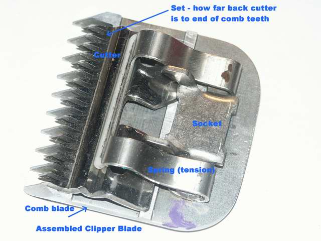 A5, Wahl Arco, large animal all sharpenened